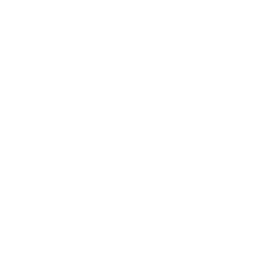 FlySRQ Inc.